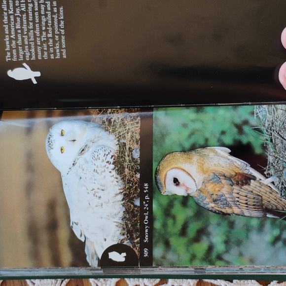 National Audubon Society Field Guide to North American Birds : Eastern Region EC - Picture 2 of 16